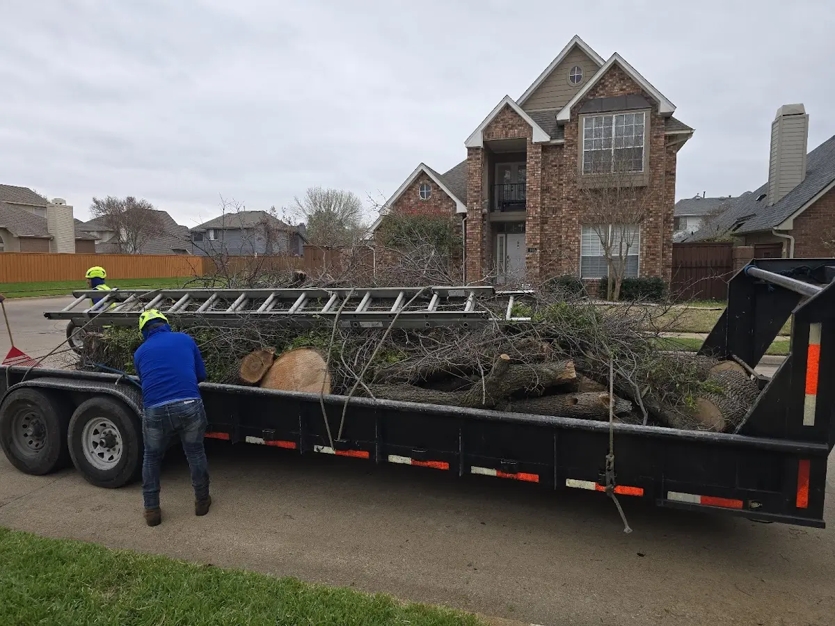 Expert Lot Clearing with proper safety equipment in Meadow
